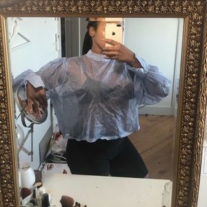 Crop Organza Zara top